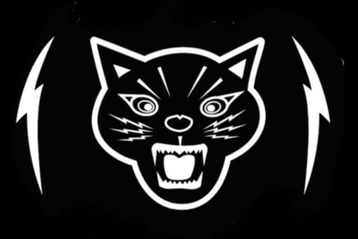 ALLEYCATS
